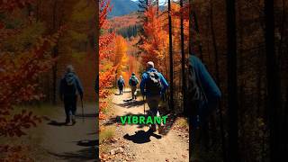 Laurentians Fall Foliage A Colorful Mountain Escape [upl. by Aicenek15]