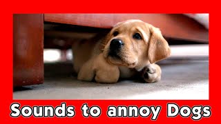 Sounds to Annoy Dogs  Sounds DOGS Hate [upl. by Aileen]