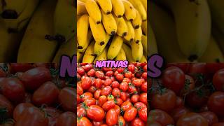 Frutas nativas do Brasil [upl. by Tracy]