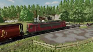 LS22 mit dem Zug durch das Wildbach Tal [upl. by Enelyahs557]