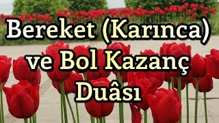 Bereket Duası  Karınca Duası  Bol Rızık Duası  Amin [upl. by Stearne]