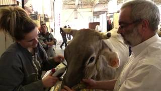 Salon Agricole Tarbes 2014LI [upl. by Lacey]