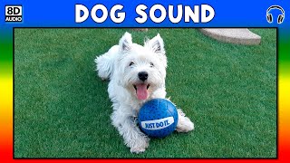 🐶 DOG SOUND  DOG SOUND EFFECT  SOUND OF DOG  NOISE OF DOG [upl. by Ariet591]