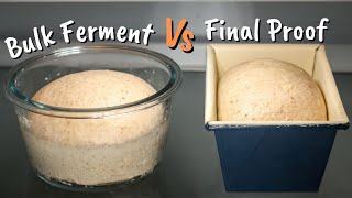 Cold Bulk Fermentation vs Cold Proofing Compared I Which is Better [upl. by Adnih]