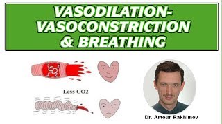 03A VasodilationVasoconstriction Poor Circulation and Breathing Patterns [upl. by Adalia]