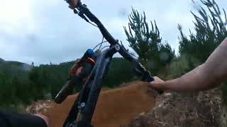 Up Dog Ft Joe Whangamata MTB 27k MML [upl. by Swainson]