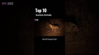 Top 10 Scariest Animals Natures Most Terrifying Creatures Number 9 Hyena naturelovers wildlife [upl. by Greenland992]