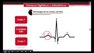 Glucosidos cardíacos y antiarritmicos farm II [upl. by Ilegna]