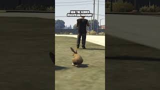 Bunny Trolling in GTA 5 [upl. by Iron638]