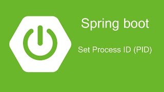 Spring Boot  Set Process ID PID [upl. by Olivette]