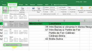 Excel  Competențe digitale 2022 Ziua 3 [upl. by Alston]