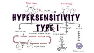 Hypersensitivity Type I reaction Immediate or allergic reaction  pathophysiology [upl. by Yentrok]