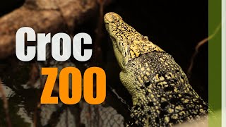 Crocodile Zoo Tour Denmark [upl. by Azial]