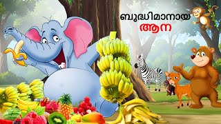 ബുദ്ധിമാനായ ആന  Malayalam Story  Stories in Malayalam  StoryTalesMalayalam [upl. by Dole]