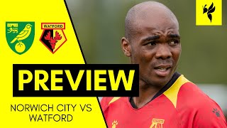 Norwich City VS Watford  Match Preview [upl. by Tilly613]