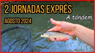 Estamos de vuelta jornadas exprés en agosto Pesca a tándem flyfishing catchandrelease trout [upl. by Ibrahim25]