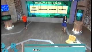 Dr OZ Indonesia Manfaat Daun Kelor 1 November 2014 [upl. by Zarla]