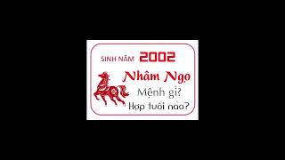 Nhâm Ngọ sinh năm 2002 mệnh gì Hợp màu gì Hợp với tuổi nào [upl. by Nunnery]