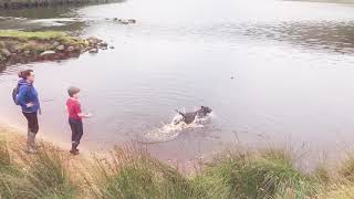 Betsy at Dovestones [upl. by Ahsenal587]