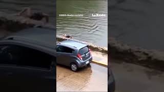 ¿Por qué lo hizo Hombre es captado nadando con tiburones en laguna de Tabasco [upl. by Cho751]