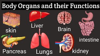 An Introduction to Body Organs and Their Functions Understanding the Workings of the Human Body [upl. by Omoj]