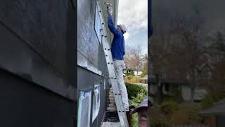 Why You Need To Back Roll Stucco When Spray Painting [upl. by Astto]