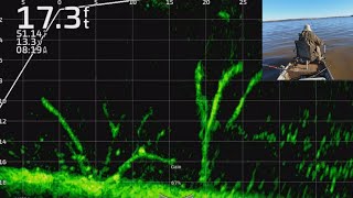 Crappie Fishing with Livescope Plus on Lake Darbonne FullScreen Livescope Footage Trip 7 [upl. by Annaul717]