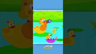 Five Little Ducks Went Swimming One Day shorts nurseryrhymes [upl. by Adriel868]