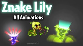 PvZ 2 Update 1171 3  Znake Lily All Animations [upl. by Lahsram]