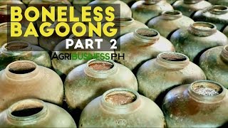 Boneless Bagoong Part 2  How to Make Boneless Bagoong and Alamang  Agribusiness Philippines [upl. by Rigby284]