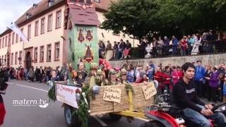 Bensheimer Winzerfestumzug 2015 [upl. by Ojibbob115]