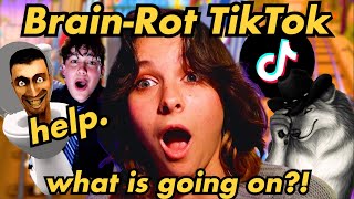 Is TikTok Really Rotting Our Brains [upl. by Arela]