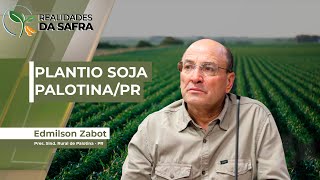 Crise hídrica traz prejuízos para o desenvolvimento do plantio da soja em PalotinaPR [upl. by Nwavahs123]