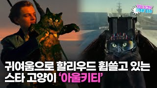 귀여움으로 무장해 할리우드 휩쓸고 있는 스타 고양이 ‘아울키티’ [upl. by Nitneuq680]