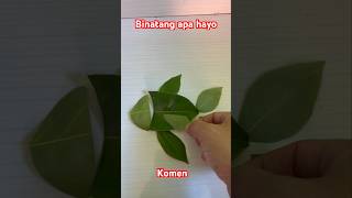 Membuat gambar ikan dari daun memes tebakgambarindonesia shortvideo [upl. by Adriena121]