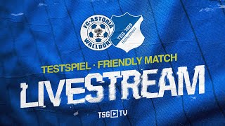 🔴  Testspiel LIVE  FCAstoria Walldorf – TSG Hoffenheim [upl. by Ayadahs]