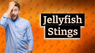 Can jellyfish sting without touching you [upl. by Orhtej]