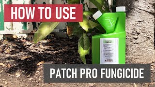 How to Use Patch Pro Fungicide [upl. by Ebner]