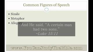 Figures of Speech in the Bible [upl. by Nalloh]