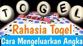 RAHASIA BANDAR MENGELUARKAN HASIL TOGEL [upl. by Ivz142]