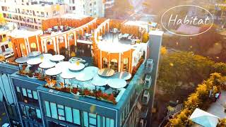 Habitat Cafe Hyderabad [upl. by Sherrer]