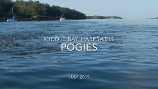 Pogies in Middle Bay Harpswell Maine [upl. by Sidoney]