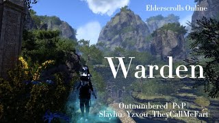 ESO PvP  Warden  OUTNUMBERED  U40 [upl. by Ialokin]