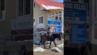 Most beautiful village in Nepal Dingboche 4400 M Himalayan baby horse riding [upl. by Bobseine119]