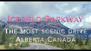 Icefield Parkway quotworld most scenic drivequot [upl. by Tati]