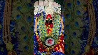 Jai kali mata music newsong navratrispecial song [upl. by Nerac]