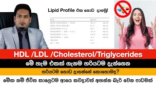 Cholesterol HDL LDL ගැන ඇත්ත දැනගෙන හිටියද Fat Metabolism By Nutritionist Hiroshan Jayaranga [upl. by Aliban]