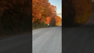 Maple road Saline Michigan Gravel Bike [upl. by Adaliah585]