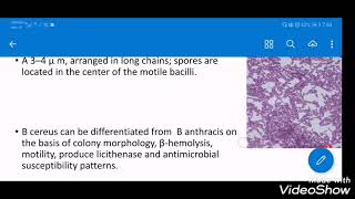 SPORE FORMING BACTERIA by 7ALA RAED  micro GI system [upl. by Zul]