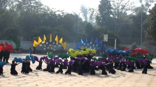 Holy Child Auxilium Sports Day  Fan Drill Std VII [upl. by Marjory]